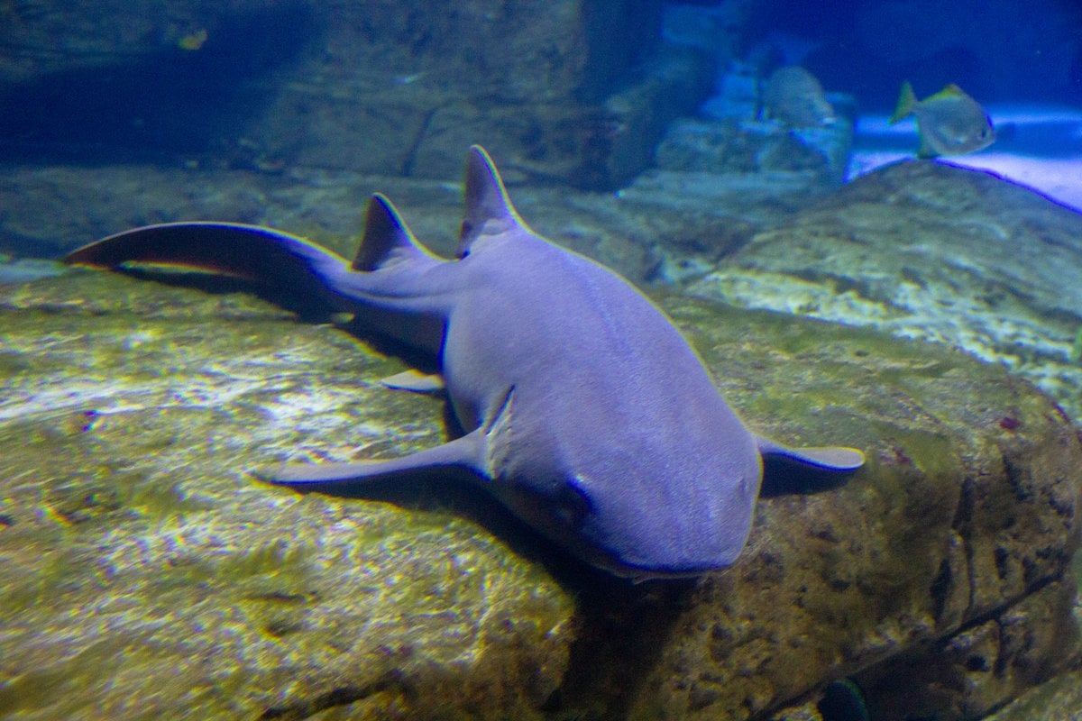 Long Island Aquarium - Gallery Image 2